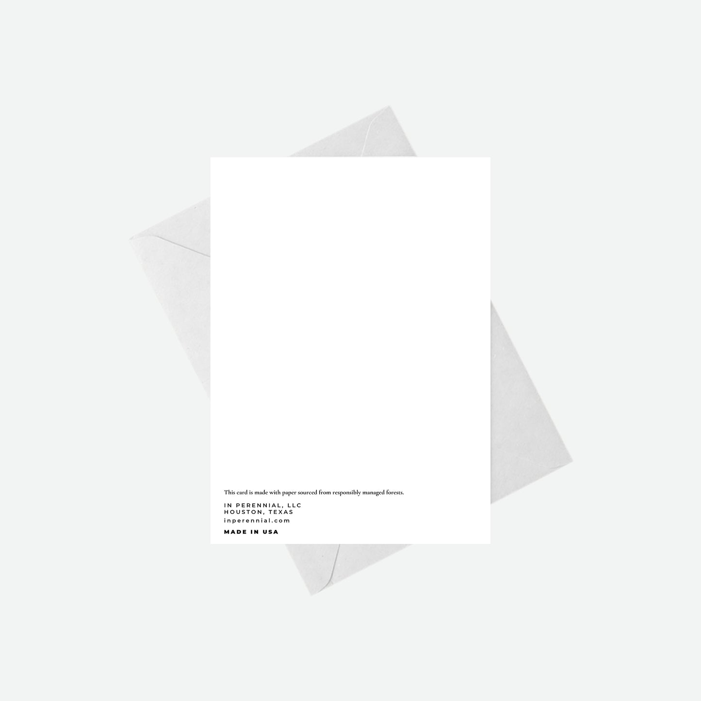 Happy Holidays Photo - Card Set in Perennial